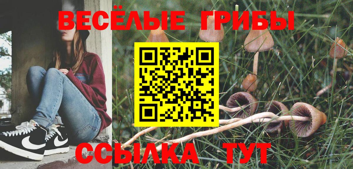 Псилоцибиновые грибы Magic Shrooms Белебей