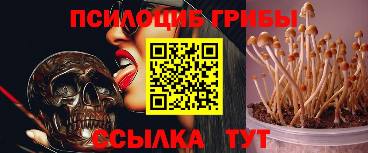 Галлюциногенные грибы Cubensis  Вход с VPN  Белебей  купить наркоту  Галлюциногенные грибы ЛСД 